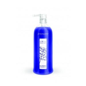 Navitas Organic Touch Blueberry Shampoo 250 ml