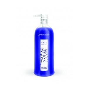 Navitas Organic Touch Blueberry Shampoo 1000 ml