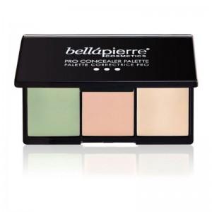 Pro Concealer Palette 2